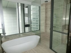 TwentyOne Angullia Park (D9), Condominium #353365751